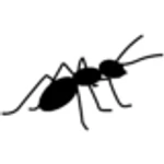 Copywriter Collective Logo