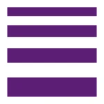 VSI Logo